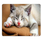 Cat Gift Cartoon Game Cartoon Mouse Pad