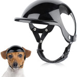 Pet Dog Motorcycle Out Decoration Helmet