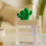 Transparent Cactus Humidifier