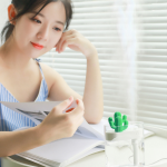 Transparent Cactus Humidifier