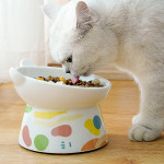 Pet Slanted High Foot Anti-overturning Bowl