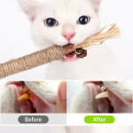 Wooden Polygonum Molar Stick Cat Toy Tooth Cleaning Kitten Bite-resistant Catnip Teasing Snacks