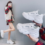 Women Sneakers Fashion Mesh Chunky Sneakers Casual Shoes Summer Comfortable Thick Sole White Dad Shoes