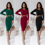 Autumn And Winter Two-piece Suit Midi Dress Temperament Skirt Suit