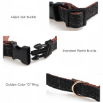 Bow-knot dog collar