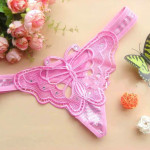 Underwear Elastic Women's Transparent Butterfly Embroidery