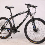 BMW Cross Country Mountain Bike Double Disc Brake