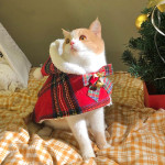 Christmas Limited Bow Plush Shawl Pet