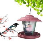 Plastic transparent bird feeder