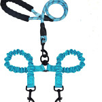 Explosion-proof Double-headed Pet Leash With Luminous