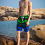 Summer Men's Fifth Pants Striped Printed Seaside Beach Shorts