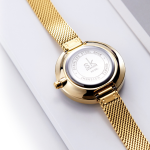 Lady's New Pattern Glass Simple Mesh Belt Quartz Watch