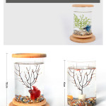 Small Office Glass Aquarium Bamboo Base Mini Fish Tank Decoration Fish Bowl