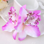 Double orchid flower of Thailand bride wedding flower hairpin beach holiday photo photo hair accessories factory