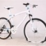 BMW Cross Country Mountain Bike Double Disc Brake