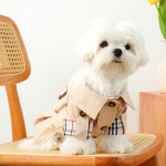 Autumn And Winter Pet Dress Teddy Bear Kitty Small And Medium-sized Dog Bulgari Clothes