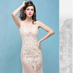 Lace Transparent Mermaid Evening Dress