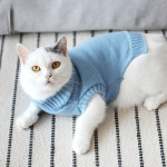 Autumn And Winter Clothes British Short Blue Cat Sweater