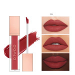 Non-stick Cup Non-fading Velvet Matte Lip Gloss