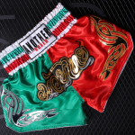 Fighting shorts for children