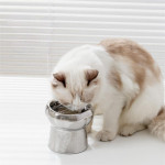 Electroplated Ceramic Cat Bowl Is Tip Proof