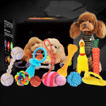 Vocal dog toy