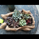 Creative Retro Wooden Pile Root Flowerpot