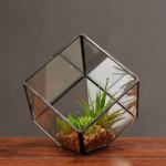 Oblique Square Small Glass Greenhouse Transparent Plant Flowerpot