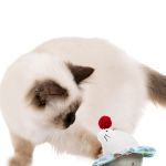 Electric Laser Teasing Cat Stick Toy Ball