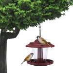 Plastic transparent bird feeder