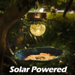 Solar Crack Ball Bird Feeder