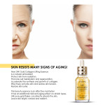 24K Gold Collagen Protein Lifting Essence