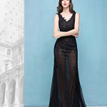 Lace Transparent Mermaid Evening Dress