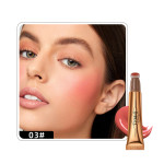 Multi Functional Cosmetic Pen Powder Blusher Highlights