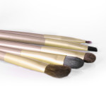 Soft Portable Brush Set With 5 Eyeshadow Brushes