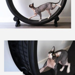 Pet Cat Running Wheel Fitness Toys