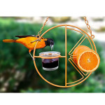 Simple Outdoor Bird Feeding And Water Feeding