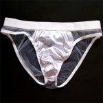 Men's Sexy Briefs Transparent Mesh