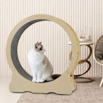 Cat Wheel, Cat Treadmill, Exercise Wheel, Cute Cat Furniture, Pet Toy, Cat Toy, Cats Loss Weight Device