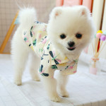 Small dog than the bear pomei thin summer cute shirt