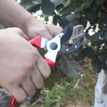 Horticulture electric pruning machine