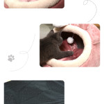 Dog Cat Bed All Season All-purpose Pet Nest Semi Closed For Warmth In Autumn And Winter