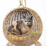 Woven Round Cat Litter Pet Bed Hanging Basket