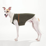 Pet Dog Cat Autumn And Winter Clothes Brown Suede Jacket