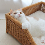 Hand-woven Cat Bed Scratch Resistant Four Seasons Universal Litter Sofa