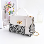 Serpentine Color Contrast Lock Chain Platinum Square Bag