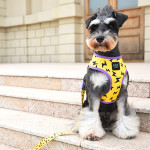 Dog Belt Outing Vest-style Harness