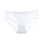 Women's Briefs Low Waist Mesh Pure Color Transparent Underwear