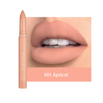 Not Easy To Fade Matte Lipstick Pen