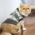 Autumn And Winter Clothes British Short Blue Cat Sweater